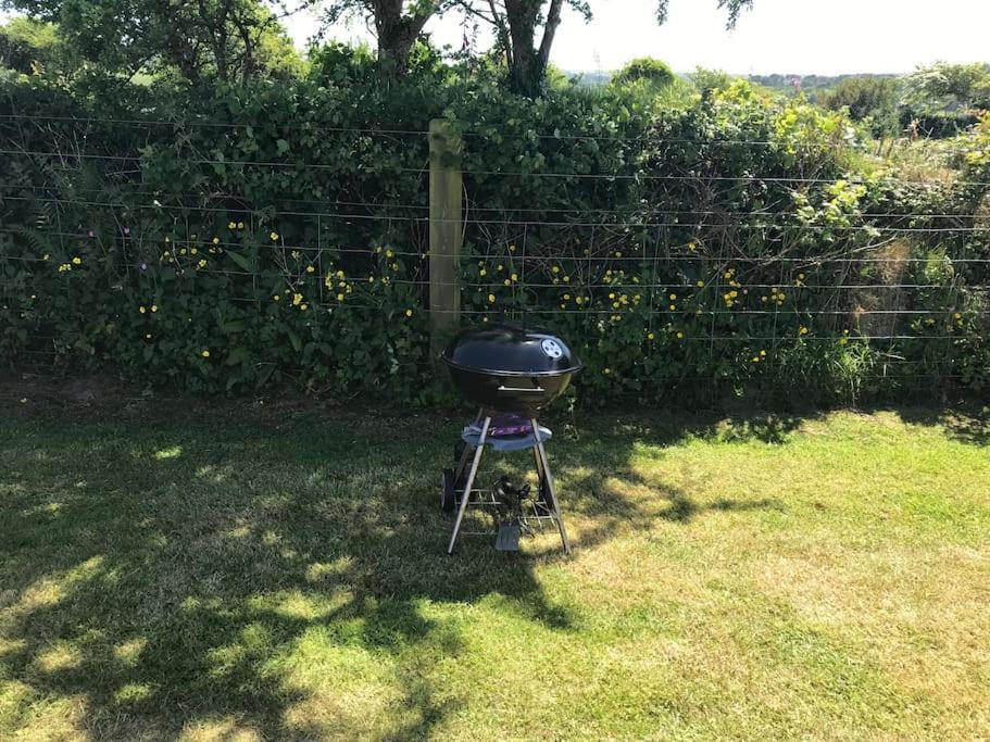 Cox Hill Glamping Badger Hotell Truro Eksteriør bilde